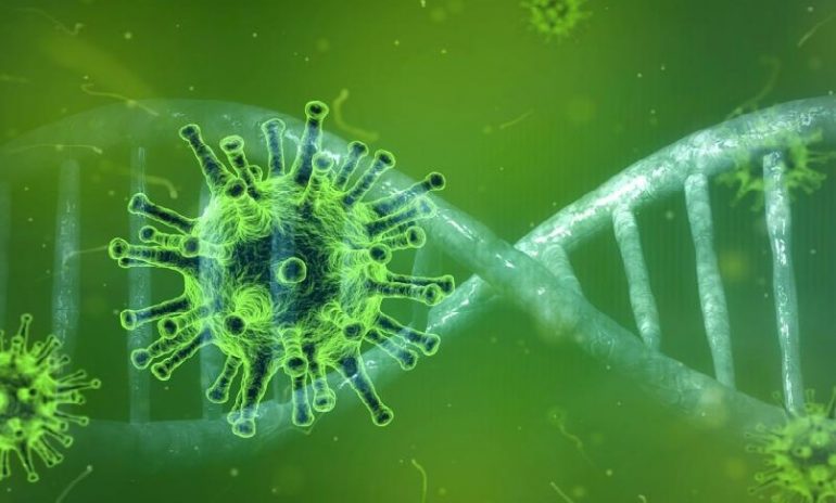Coronavirus, nuovo software per l’analisi genomica identifica rapidamente i ceppi emergenti
