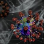Coronavirus, scoperta nuova mutazione non legata alla proteina Spike