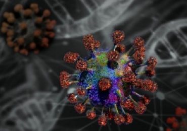 Coronavirus, scoperta nuova mutazione non legata alla proteina Spike
