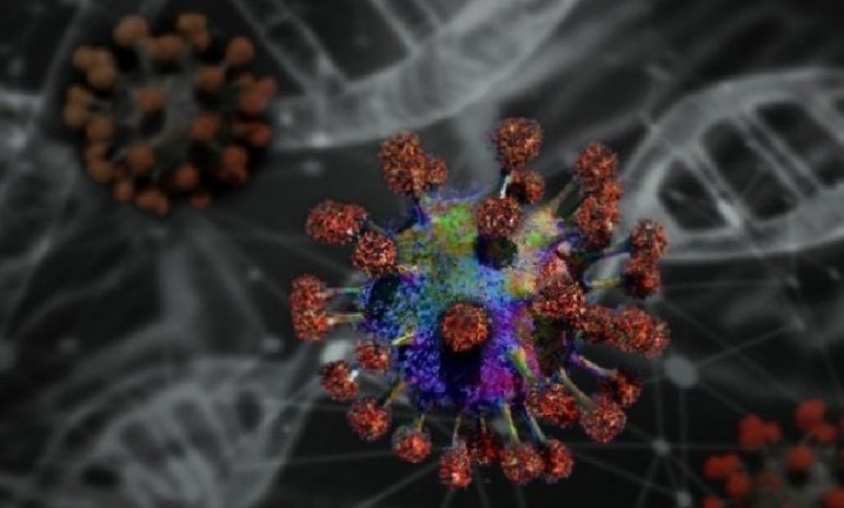 Coronavirus, scoperta nuova mutazione non legata alla proteina Spike