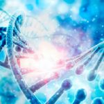 Difetti genetici, il Dna può correggerli spontaneamente