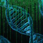 Genetica, mappati gli "interruttori" del Dna: sarà più facile studiare le malattie