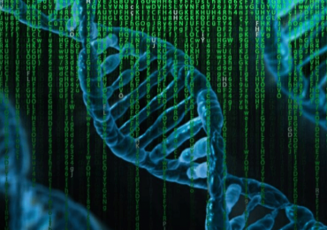 Genetica, mappati gli "interruttori" del Dna: sarà più facile studiare le malattie