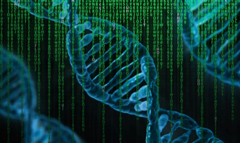 Genetica, mappati gli "interruttori" del Dna: sarà più facile studiare le malattie