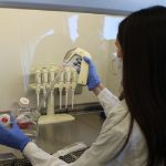 Il ruolo della glutammina nel metabolismo delle cellule staminali embrionali: lo studio