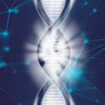 Malattie genetiche, ecco il software che le individua rapidamente