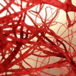 Biostampa 3D: la nuova strategia per generare vasi sanguigni