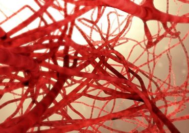 Biostampa 3D: la nuova strategia per generare vasi sanguigni