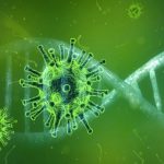 Coronavirus, due algoritmi rivelano come le varianti si generano e si diffondono