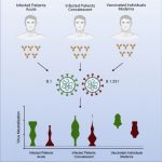 Moderna efficace contro variante sudafricana, lo studio
