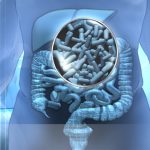 I3C e il microbiota intestinale come rallentare la proliferazione virale ed evitare polmoniti interstiziali bilaterali interstiziali