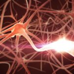 Atrofia muscolare spinale (Sma), prima causa genetica morte in Italia: necessario estendere screening