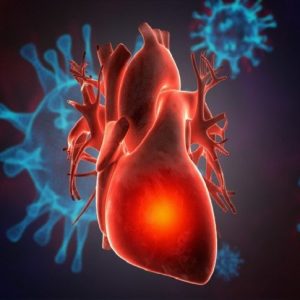 Coronavirus, studio Monzino-Spallanzani fa luce sui danni cardiaci