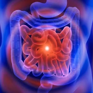 Infiammazioni intestinali: i benefici prodotti dal ceppo LA1 del Lactobacillus acidophilus