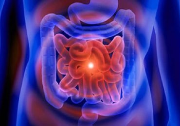Infiammazioni intestinali: i benefici prodotti dal ceppo LA1 del Lactobacillus acidophilus