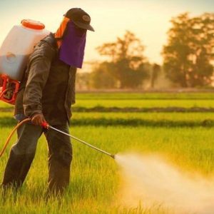 Melanoma, esposizione a pesticidi aumenta il rischio