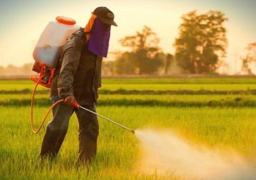 Melanoma, esposizione a pesticidi aumenta il rischio