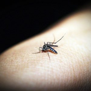 Vaccino anti malaria: salverà la vita a migliaia di bambini