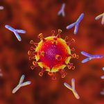 Gli anticorpi Covid persistono nel sangue per almeno 8 mesi