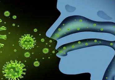 Coronavirus: sniff-test e alimento a base di PeaLut per recuperare gusto e olfatto