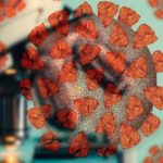 Coronavirus, un composto naturale può bloccarlo nelle cellule infettate