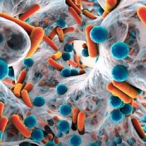 Il ruolo del microbioma intestinale nel recupero dall'ictus