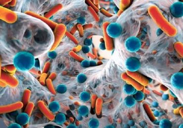 Il ruolo del microbioma intestinale nel recupero dall'ictus