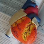 Coronavirus, rari i casi di miocardite e pericardite post-vaccino tra i giovani Usa