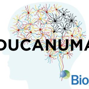 La FDA approva Aducanumab, il primo farmaco efficace per la cura