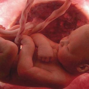 Placenta, cordone ombelicale e sacco amniotico: a cosa servono?