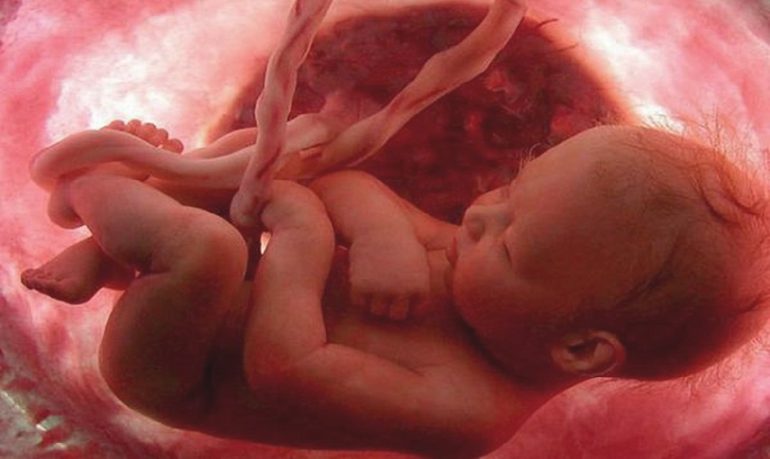 Placenta, cordone ombelicale e sacco amniotico: a cosa servono?