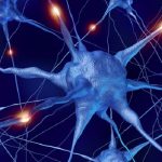 Sla e demenza frontotemporale, scoperto possibile biomarcatore per diagnosi precoce