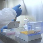 Coronavirus, giungono conferme sull'efficacia dell'invermectina
