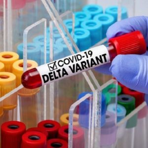 Coronavirus, il punto sulla variante Delta: età media, efficacia dei vaccini e sintomi