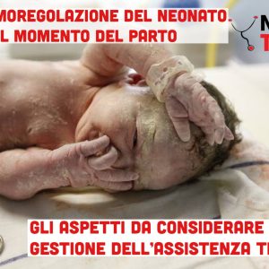 La termoregolazione del neonato al momento del parto: gli aspetti da considerare nella gestione dell’assistenza termica