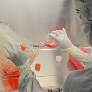 Linfomi iniziali: vaccino antitumorale in sperimentazione