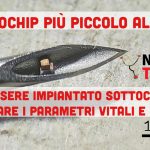 Un microchip più piccolo di un acaro della polvere potrà essere impiantato nel corpo umano con un ago da insulina