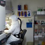 Scoperto anticorpo che protegge da un'ampia gamma di varianti di virus COVID-19