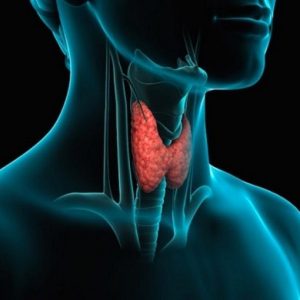 Disfunzioni della tiroide: come curarle