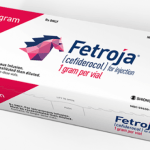 Batteri multiresistenti: disponibile Cefiderocol una nuova arma contro le infezioni ospedaliere da gram negativi