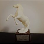 Premio ''Eccellenze Martinesi'' all'infermiera Daniela Martino