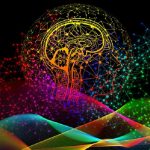 Declino cognitivo, la riduzione di una molecola infiammatoria contrasta la perdita di memoria