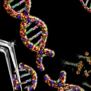 Hiv, al via la sperimentazione della terapia di editing genetico nell’uomo