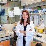 Sclerosi multipla progressiva: bloccando una proteina si può ridurre l’infiammazione