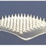 Covid-19: cerotto con microaghi per vaccinare