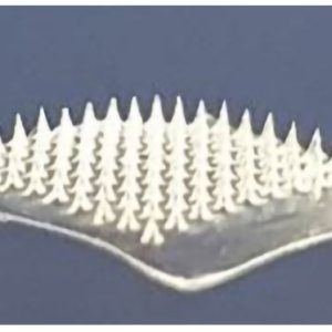 Covid-19: cerotto con microaghi per vaccinare