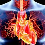 Valvole cardiache malate: nuovo dispositivo le ripara
