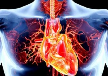 Valvole cardiache malate: nuovo dispositivo le ripara