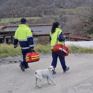 Arezzo: debutta l’infermiere di famiglia per addestrare il caregiver alla cura 1