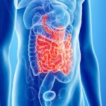 Celiachia e MICI: nel microbiota le possibili soluzioni